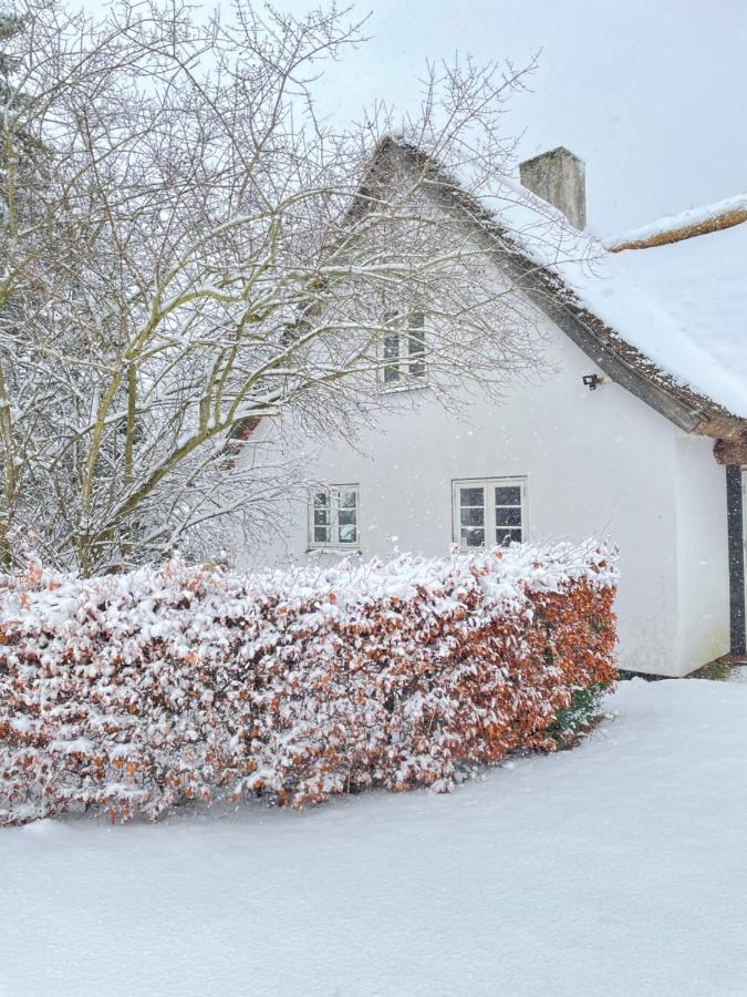 Apple Cottage Vejby Екстер'єр фото