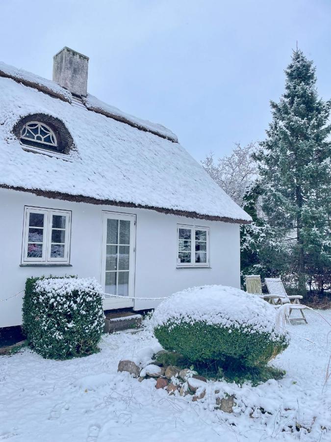 Apple Cottage Vejby Екстер'єр фото