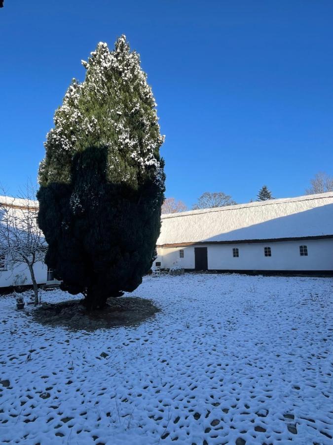Apple Cottage Vejby Екстер'єр фото