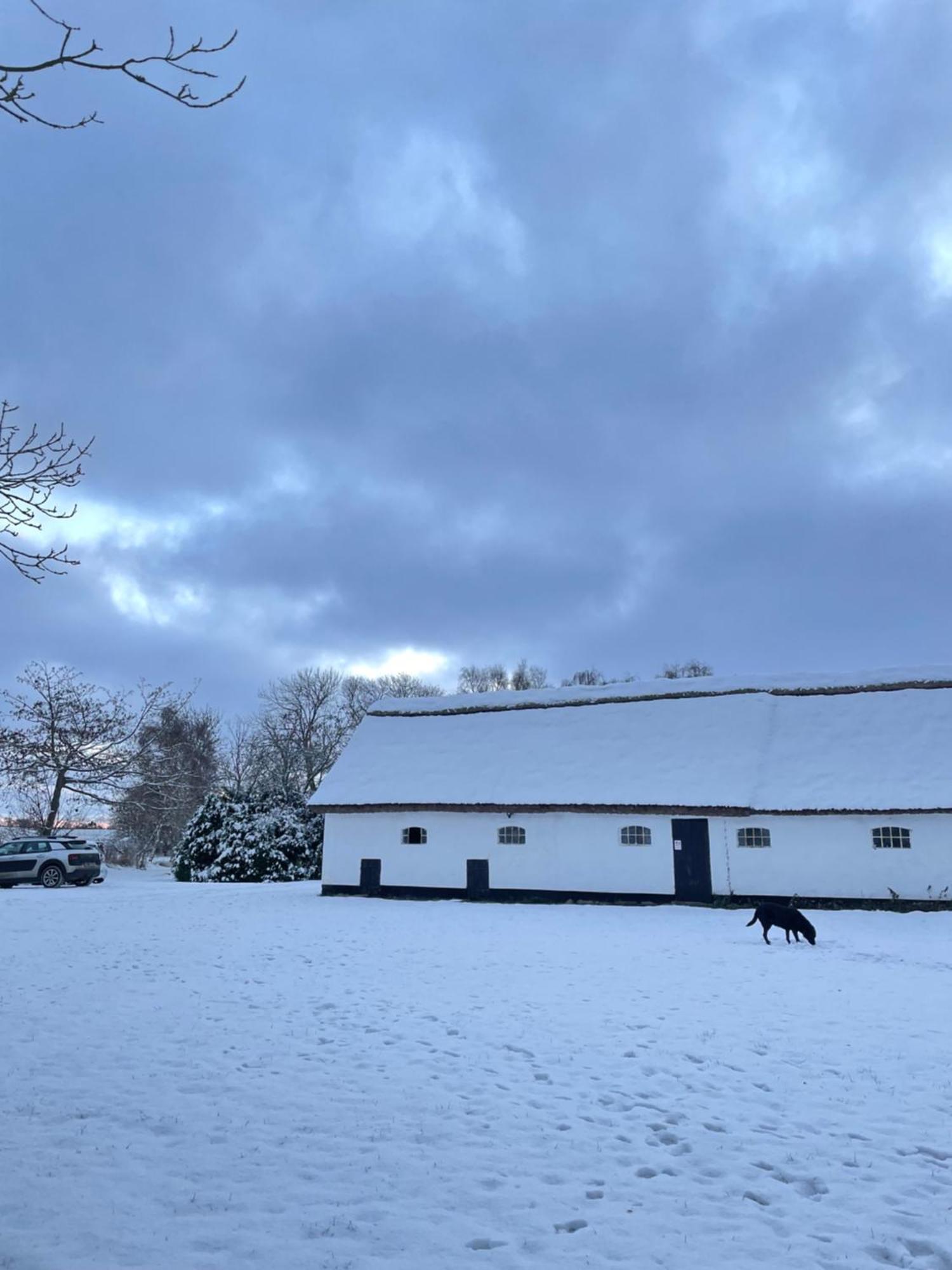 Apple Cottage Vejby Екстер'єр фото