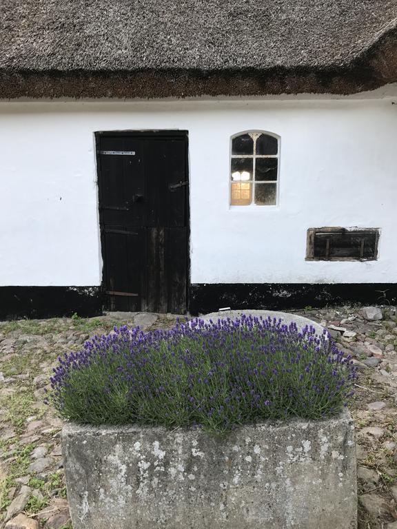Apple Cottage Vejby Екстер'єр фото