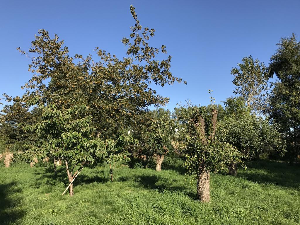 Apple Cottage Vejby Екстер'єр фото