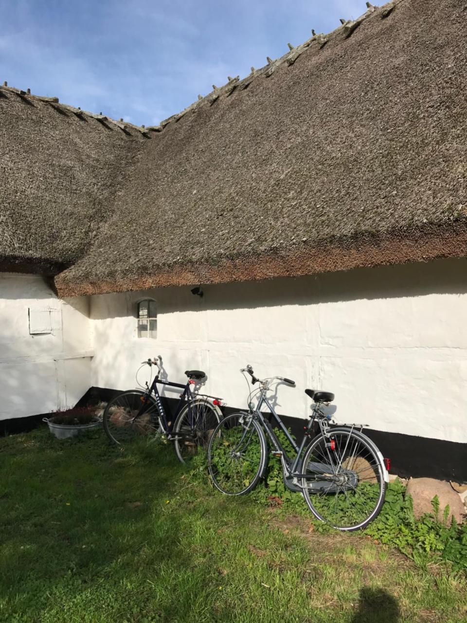 Apple Cottage Vejby Екстер'єр фото